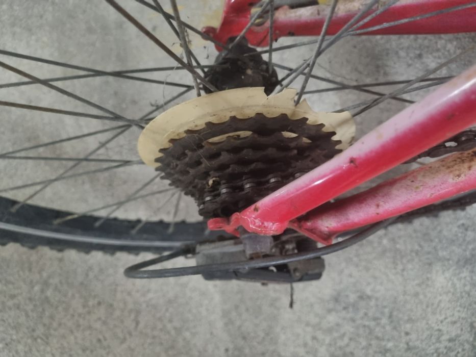 Bicicleta Berg Blast 243