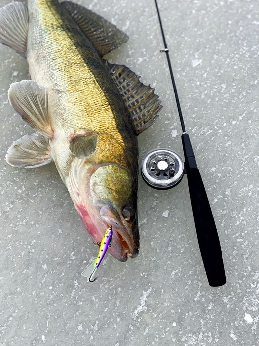 Удочка зимняя Судаковая. Удочка блеснилка зимняя для ловли судака