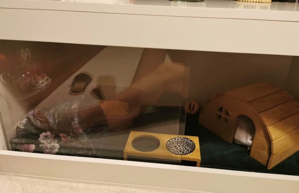 Terrarium dla jeża z akcesoriami