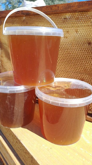 Продам мед цього року эх