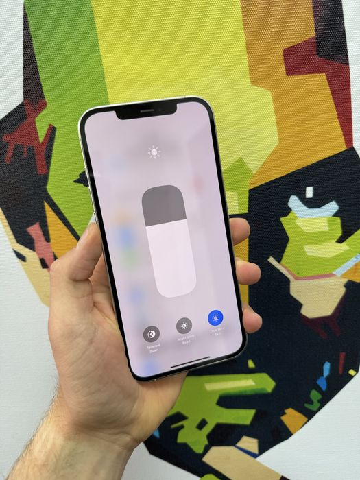 iPhone 12Pro Max 256b Silver Never lock