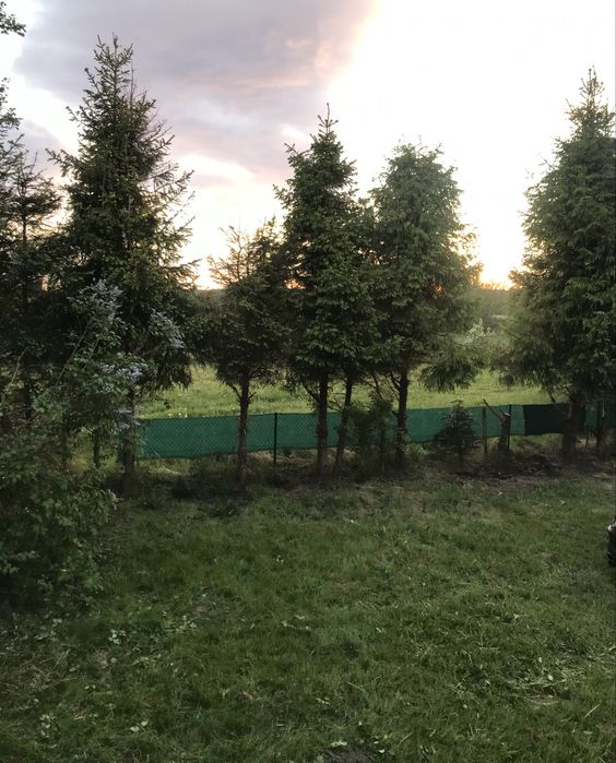 Działka nad morzem Karwieńskie Błota II