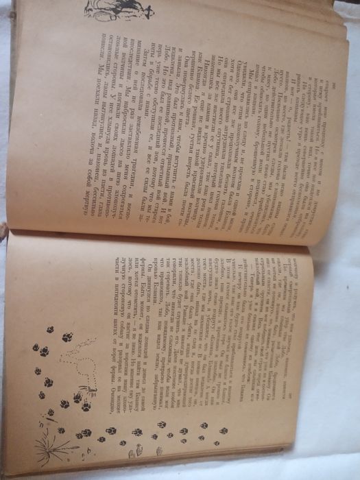 Сетон Томпсон Домино