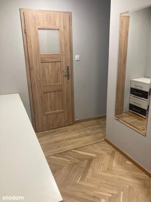 2 pokoje / duża loggia / piwnica / przylesie / ROI 9% netto