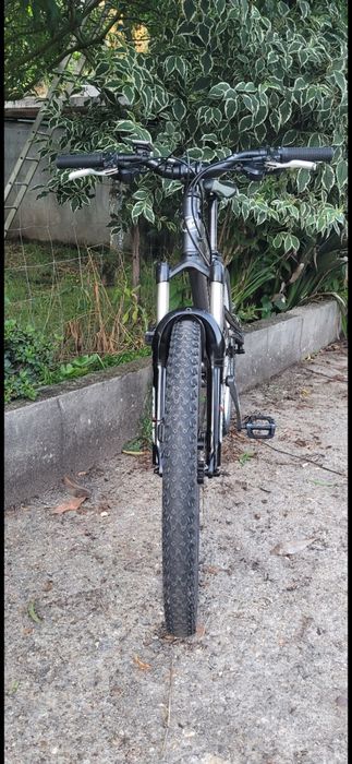 Vendo Saracen raw 2