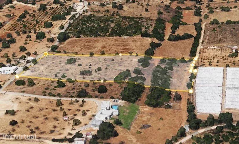 Terreno Rústico em Vale da Mó – Faro | 16.170 m²