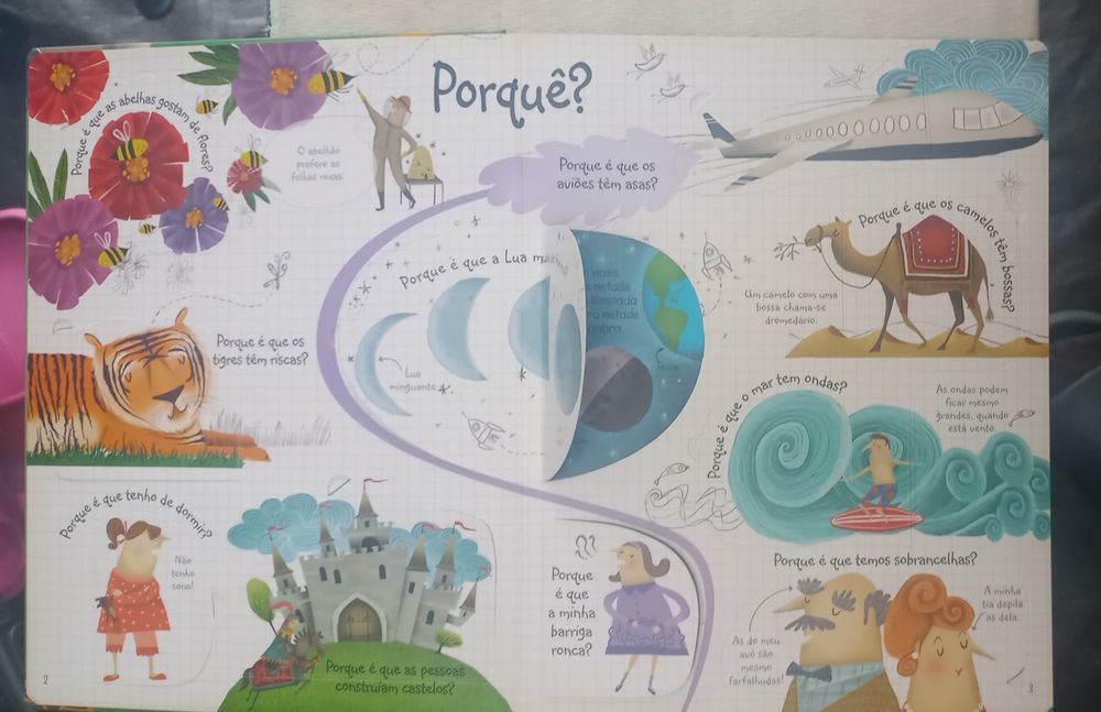 Livro Perguntas e respostas