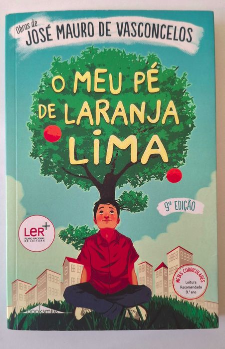 Pé de Laranja Lima – Ótimo para Oferta de Natal!