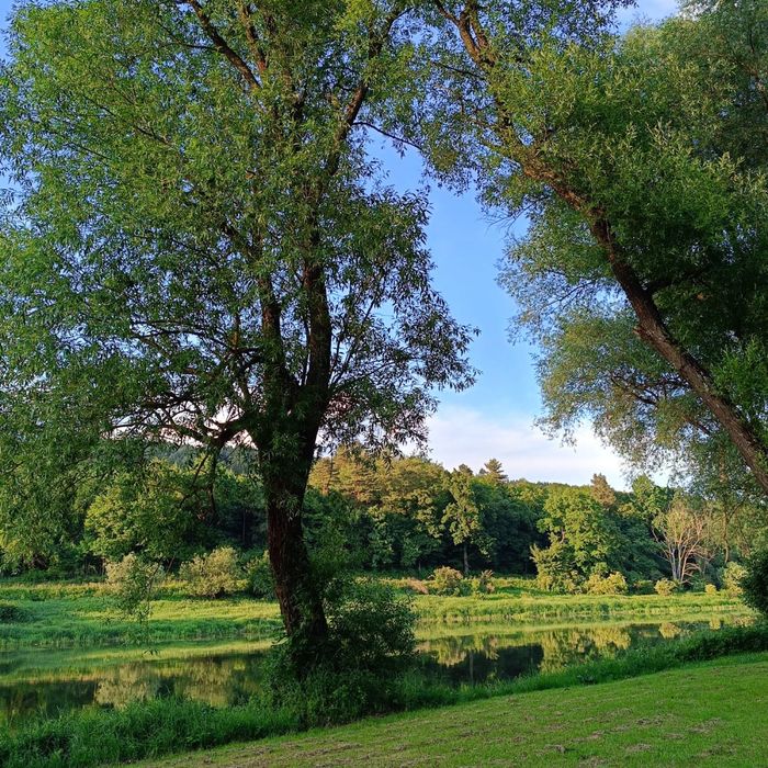 Całoroczny domek nad Sanem z banią