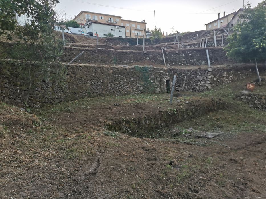 Terreno Quinta Vale Cambra Costa Anelha 0,5HA