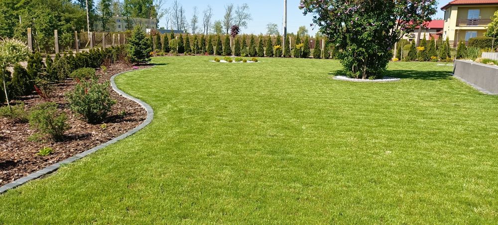 Firma Ogrodnicza "Mazurek" - Usługi ogrodnicze. Mycie kostki brukowej