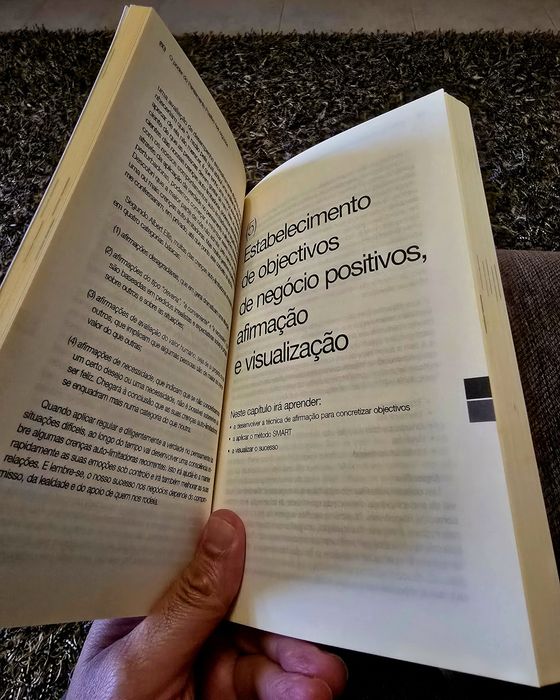 O Poder do Pensamento Positivo nos Negócios
de Scott W. Ventrella