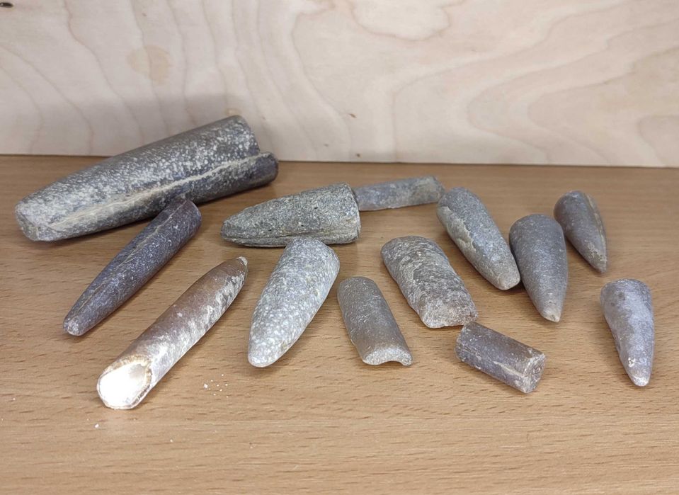 Коллекция Камней и Окаменелостей