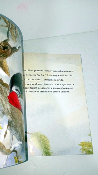 És tu a Primavera?