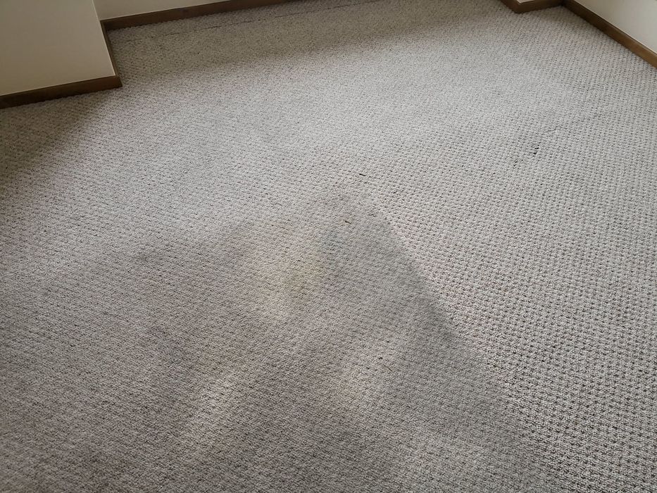 Karcher  Grodzisk Wielkopolski pranie dywanów wykładzin tapicerki