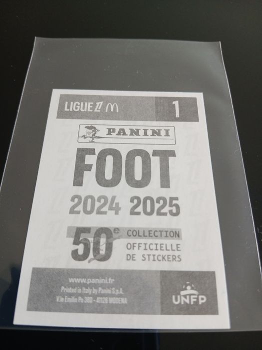 Zidane Rookie Panini