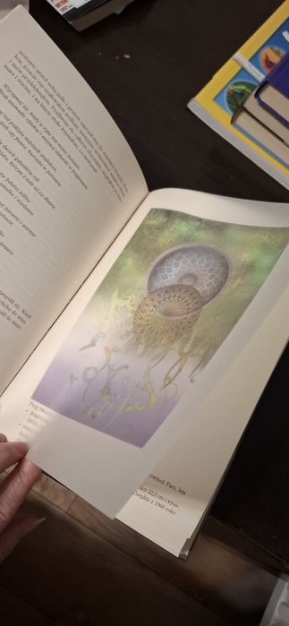 Książka Tysiąc i Jedna Noc z Szeherezadą
