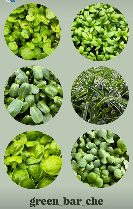 Нові ягідні лоточки, також можна вирощувати мікро зелень