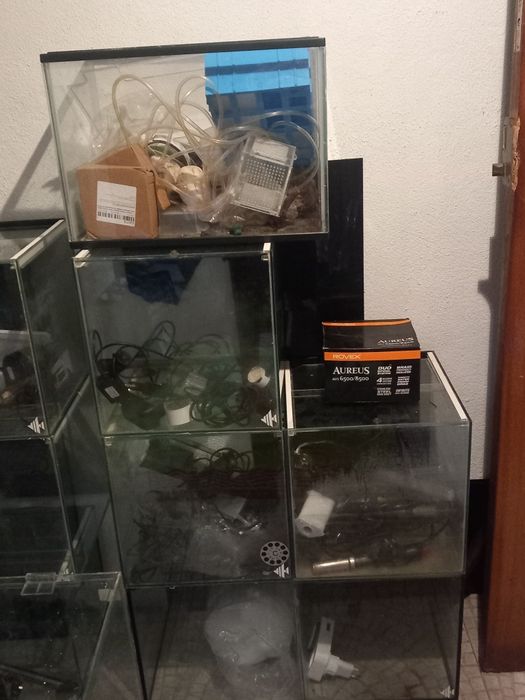 Vendo aquarios todos com tampa e varios tamanhos