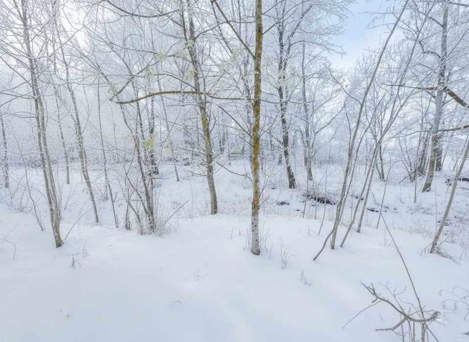 Продаж ділянки 25сот під забудову. Поряд озеро. Біля лісосмуги. ID:405
