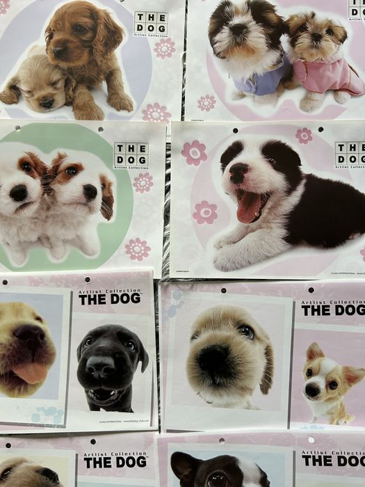 the dog karteczki