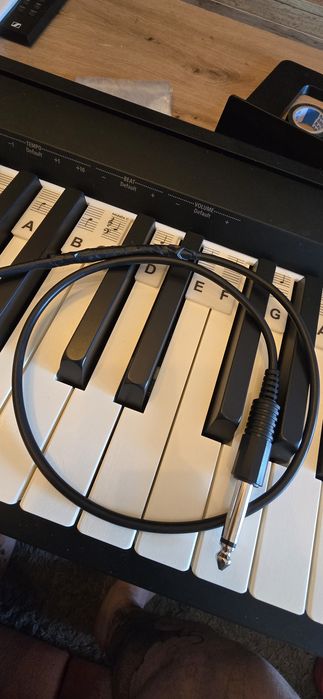 Roland FP-10 - Piano Digital 88 Teclas | Excelente Estado