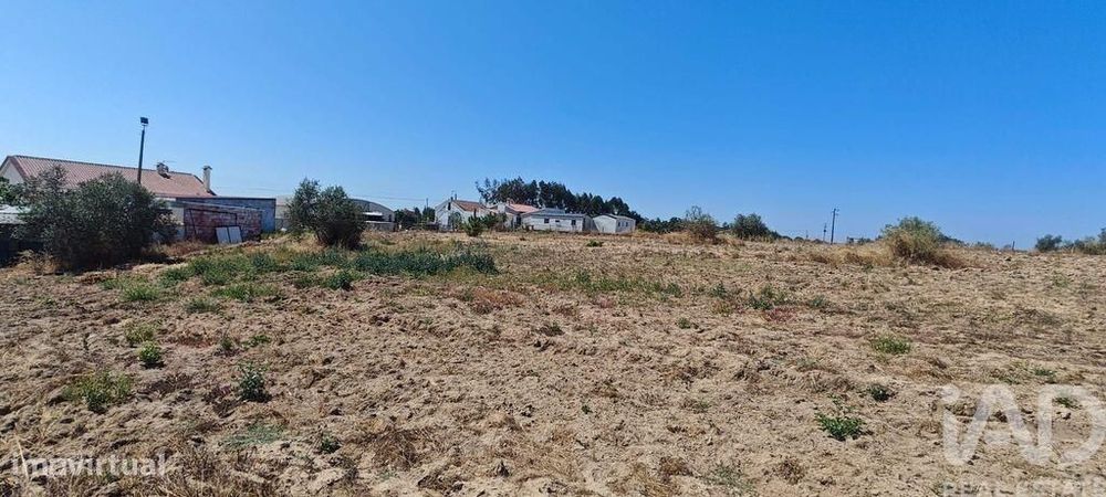 Terreno para construção em Branca de 7020,00 m2