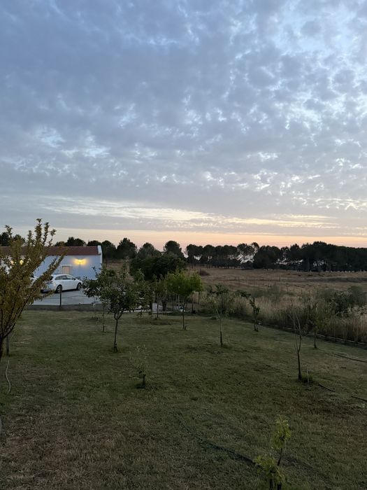 Quinta com Moradia T3 e Terreno de 8.920 m² em Fazendas de Almeirim