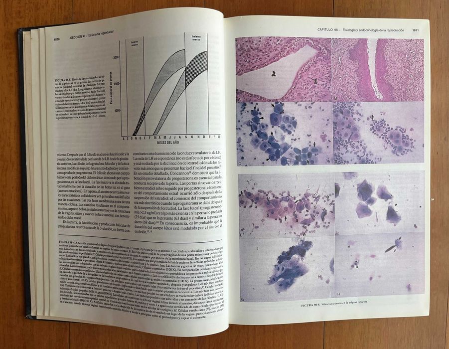 Conjunto 3 Livros "Tratado de Medicina Interna Veterinaria" - 3ªEdição