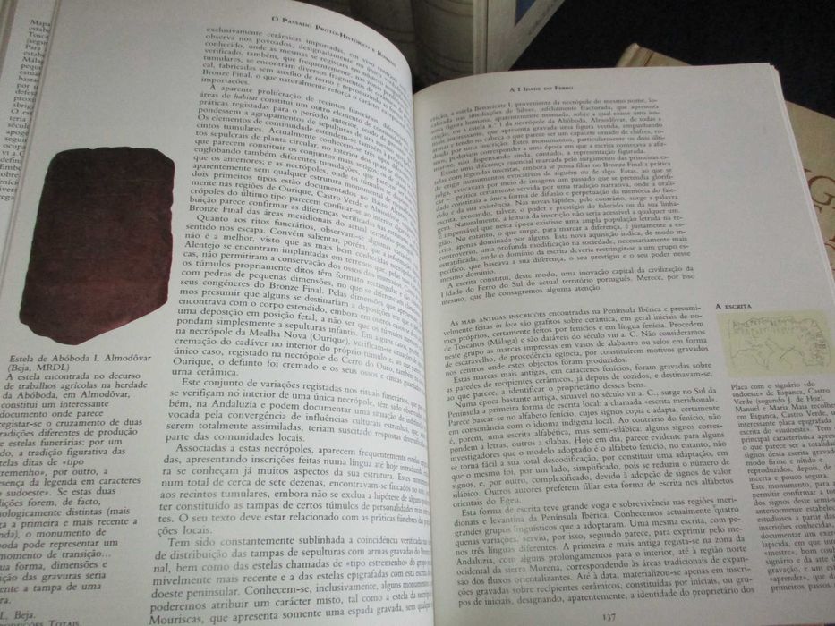 Livros História de Portugal José Mattoso 9 volumes