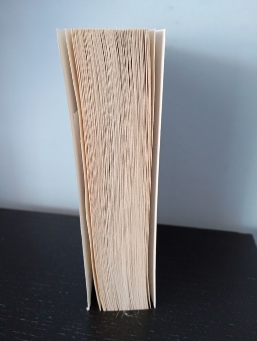 Livro " The housemaid"