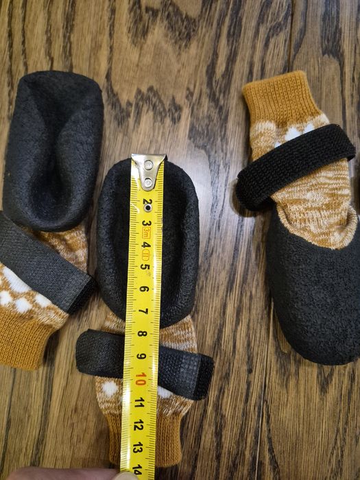 Взуття для собак