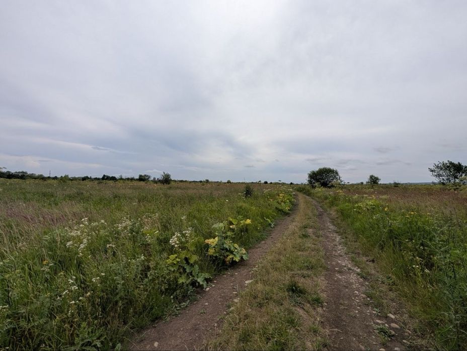 Продаж перспективної  земельної ділянки в Крихівцях,  Горішній Лан