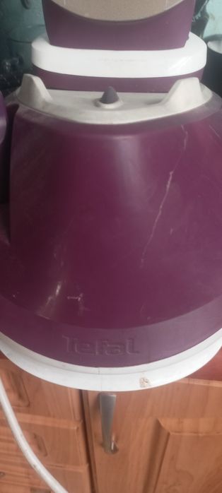 Kompaktowy Generator Pary Tefal