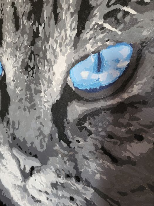 Картини котиків намальовані (за номерами)