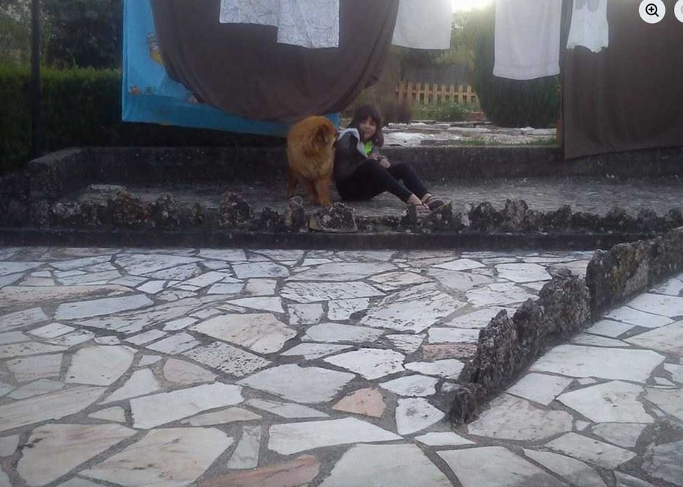 Dog walker e/ou pet sitting (não fico à noite mas posso ir alimentar, dar água ver se está tudo ok )