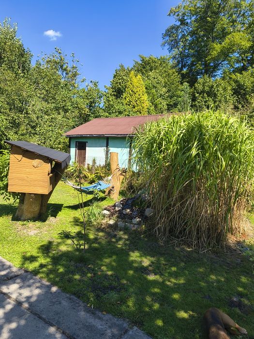 Ogródek działkowy  Bytom miechowice
