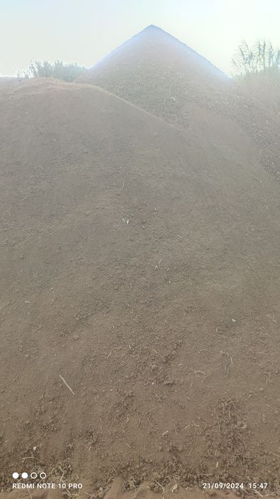 Terra vegetal para jardim