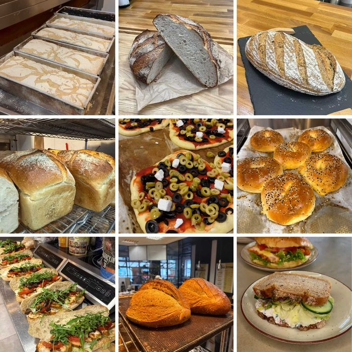 Prowadzenie Facebooka Instagrama TikTok  Rolki Facebook Instagram