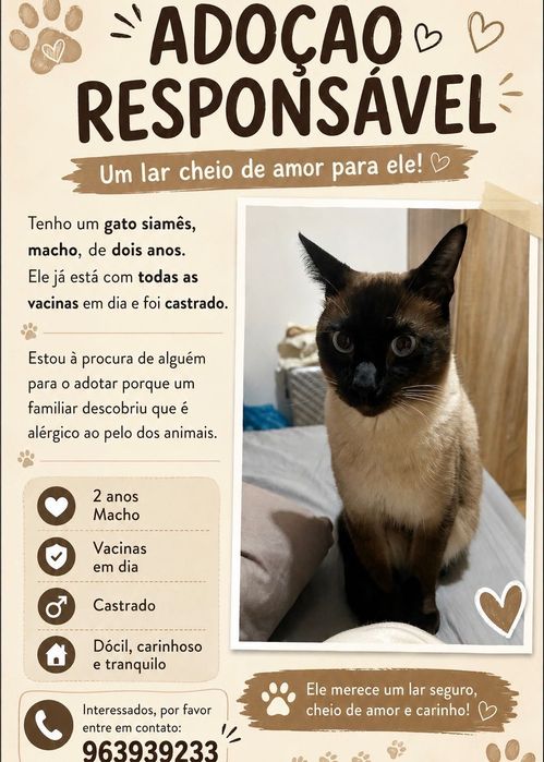 Leva me para casa!!!