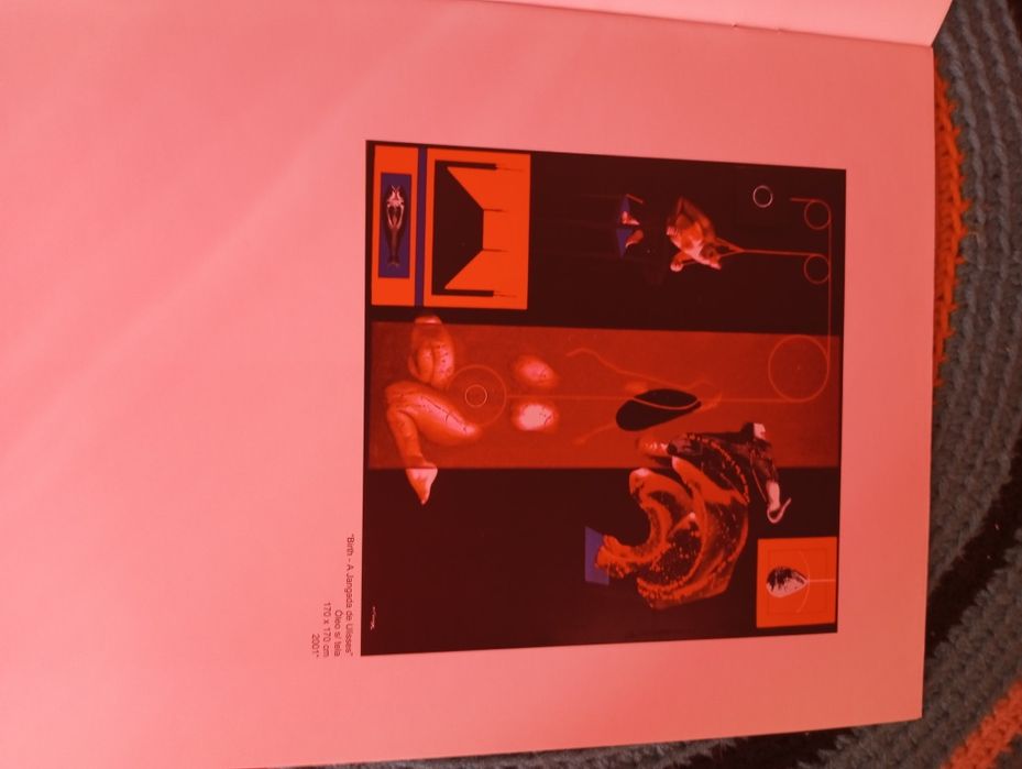 Nuno Medeiros - Aleph