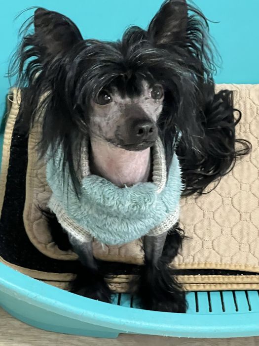 Мальчик КХС. Голый.