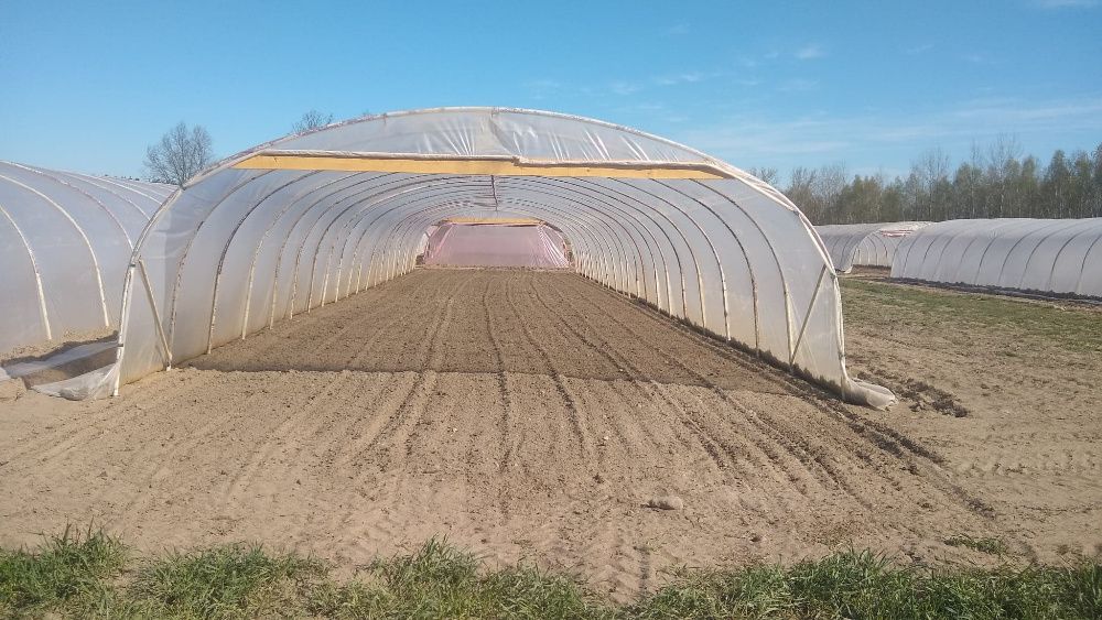 Tunel konstrukcja tunelu foliowego z rury fi51