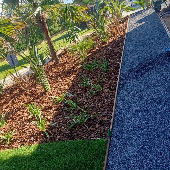 Jardineiro Profissional | Serviços de Jardinagem | Lisboa e Sintra