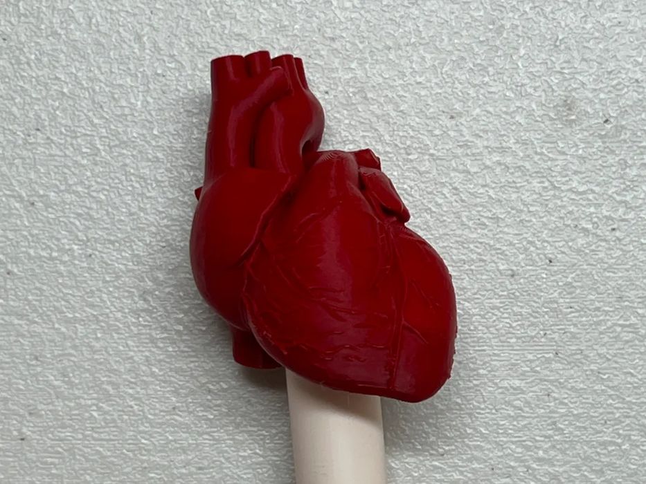 Coração Anatómico para Big Brick (Cardiologista)