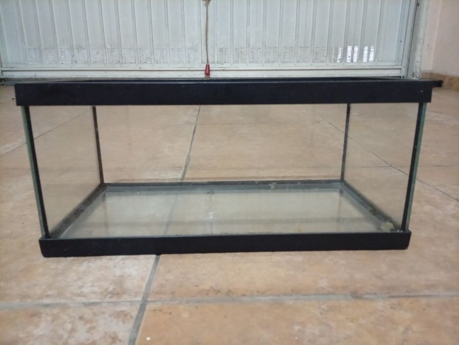 Aquário peixes ou tartaruga