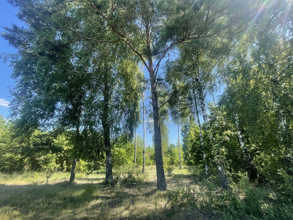 Działka leśno rolna 3.5ha - Widok 3