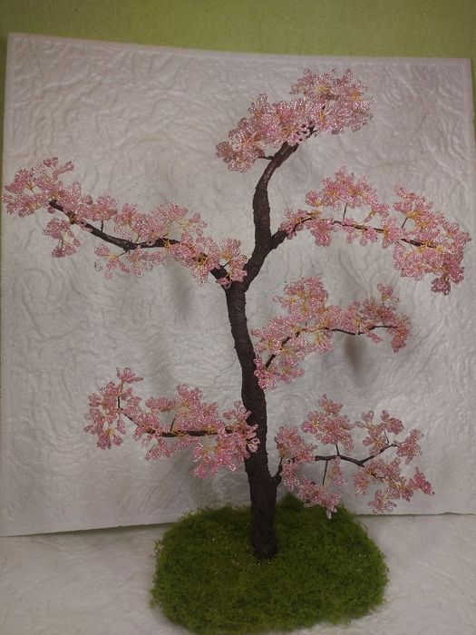 Drzewko sakura bonsai.