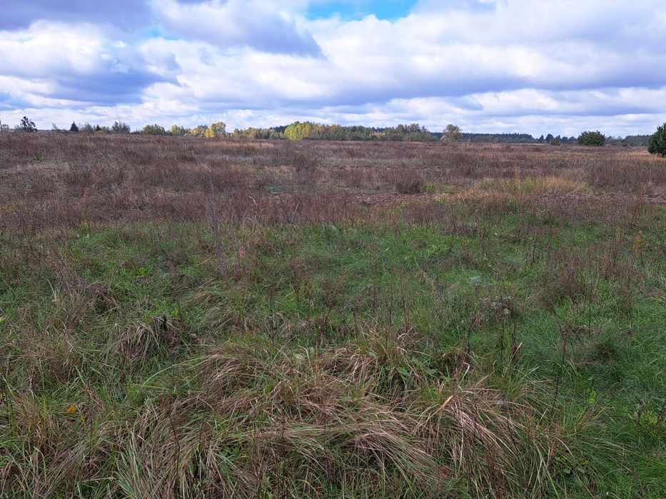 Продам земельну ділянку