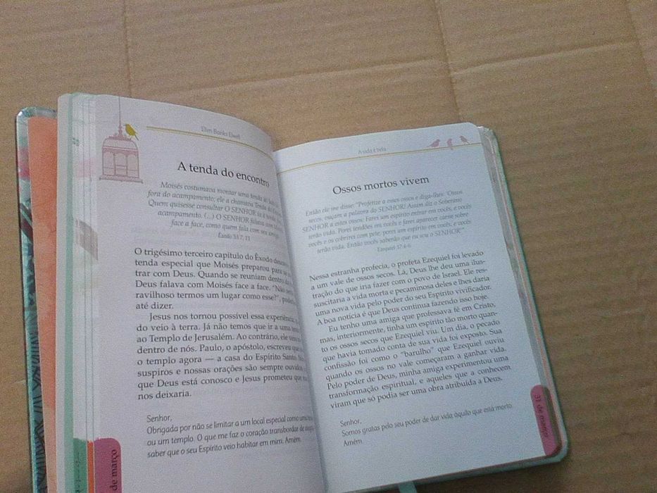 A vida é bela - Devocional: O cuidado de Deus a cada dia